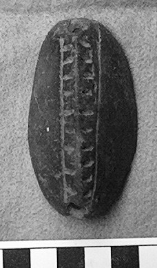 Cacao pod pendant